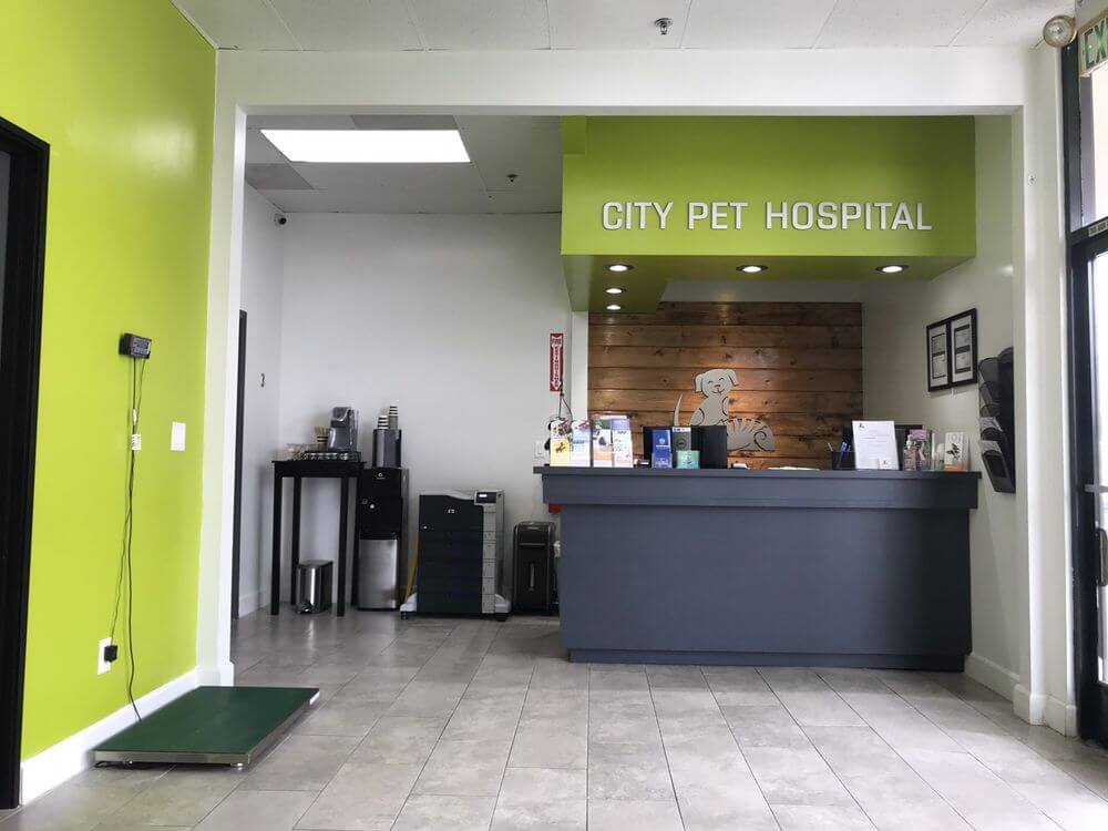 city-pet-front-desk