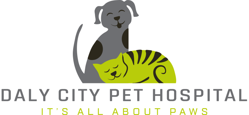 Daly City Pet Hospital