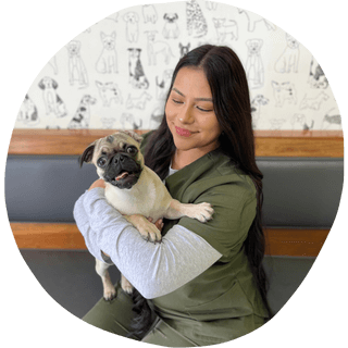 light gray paw print outline pattern