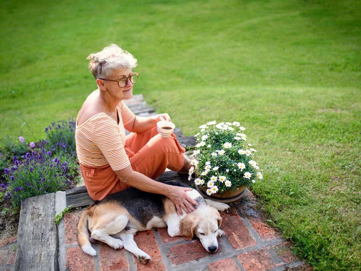 Dog rests near owner in garden