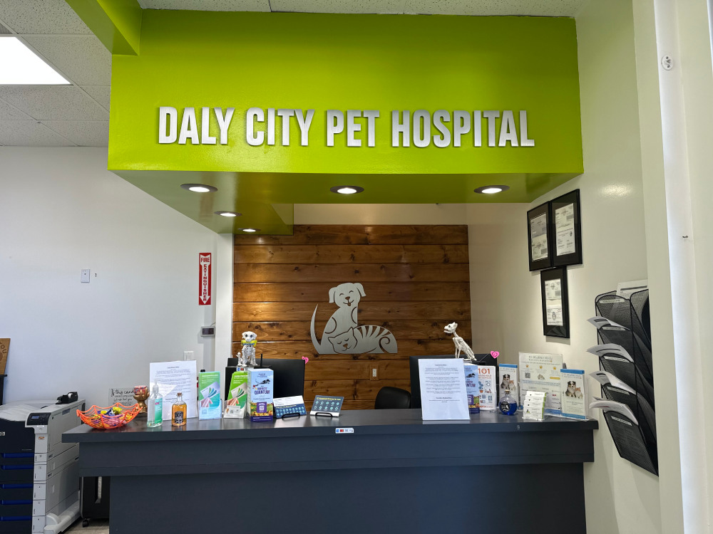Daly City Pet Hospital reception