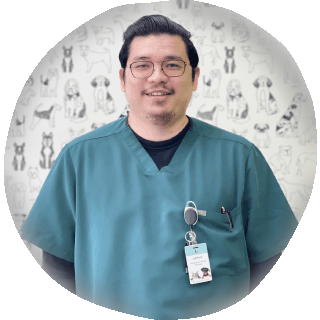 light gray paw print outline pattern