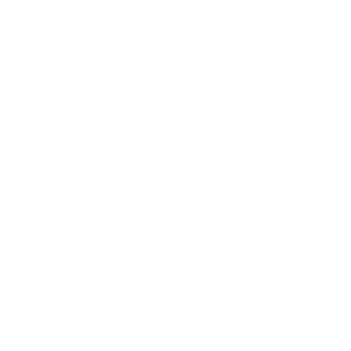 Handshake icon