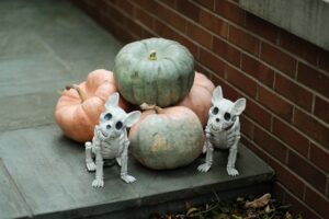 Halloween setup featuring pumpkins and decorative skeleton dogs outdoors.